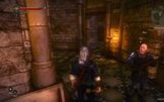 Geralt-ի հատուկ հմտություններ (կարողություններ) Խաղի հիմնական էկրանին